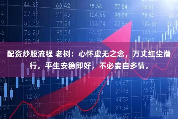 配资炒股流程 老树：心怀虚无之念，万丈红尘潜行。平生安稳即好，不必妄自多情。